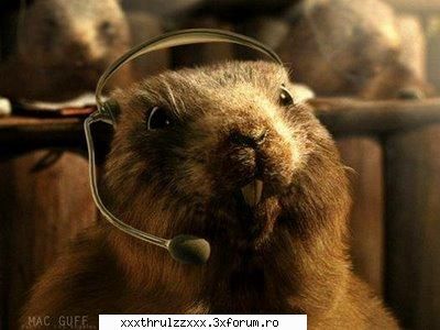 ^^Porecle^^ - Marmoteeeeeeee ....ah:|nu intr:|am cva cu - [♥] WELCOME [♥]